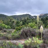 Review photo of Ronald W. Caspers Wilderness Park by Kim L., May 19, 2025