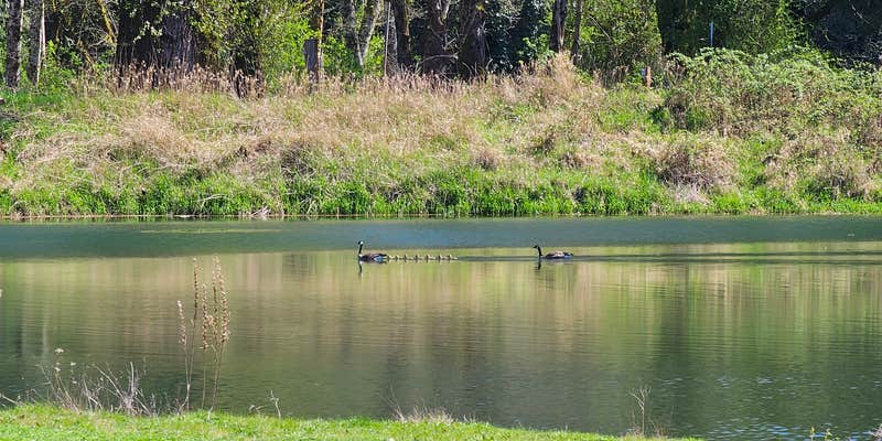 Camper submitted image from Steelhead Landing