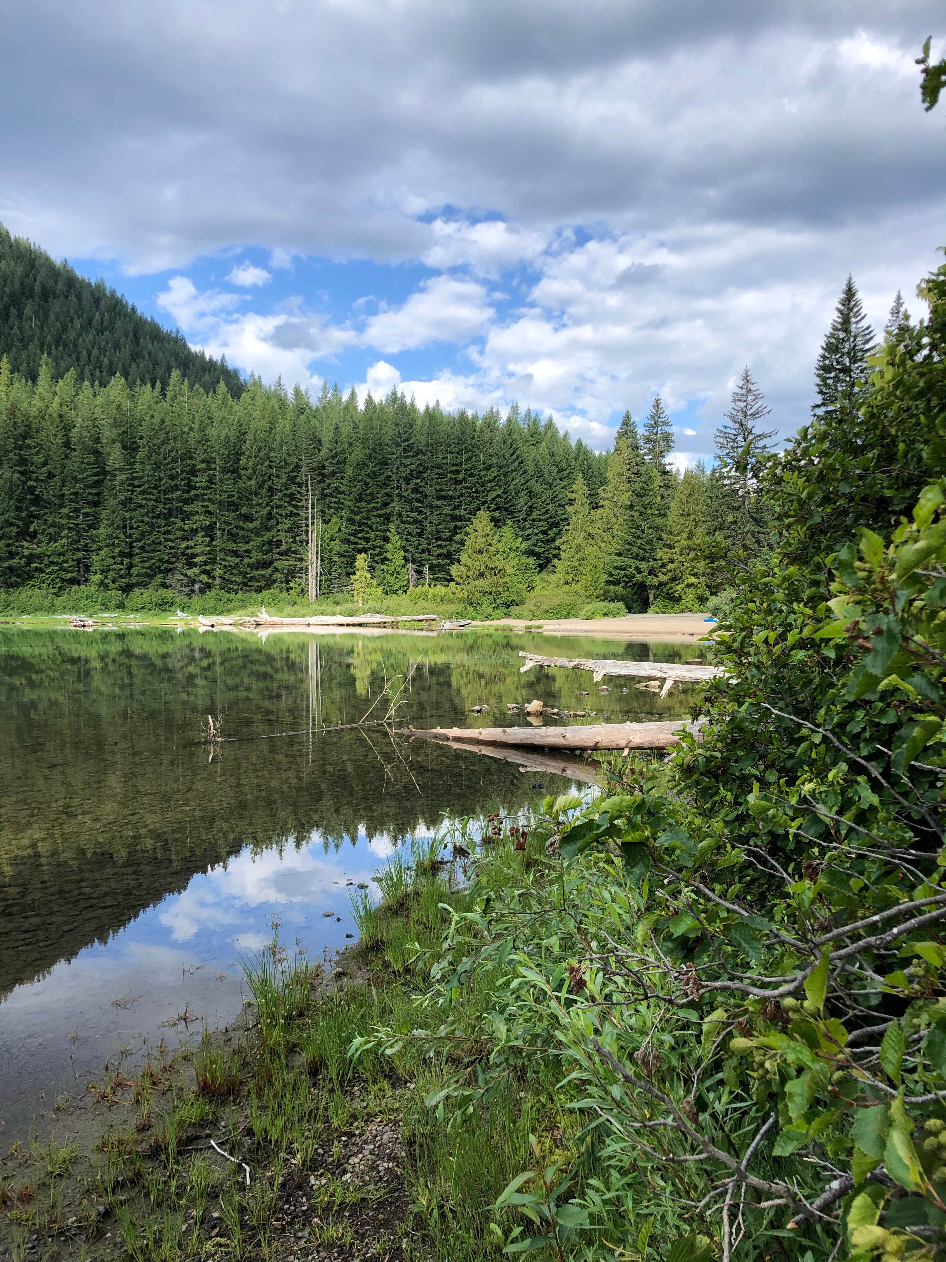 Camper submitted image from Walupt Lake Campground - 5