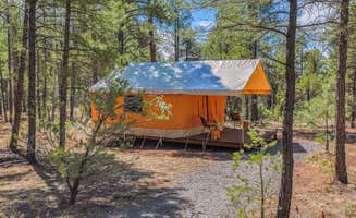 Fabienne S.'s photo at Highland Grand Canyon near Grand Canyon, AZ