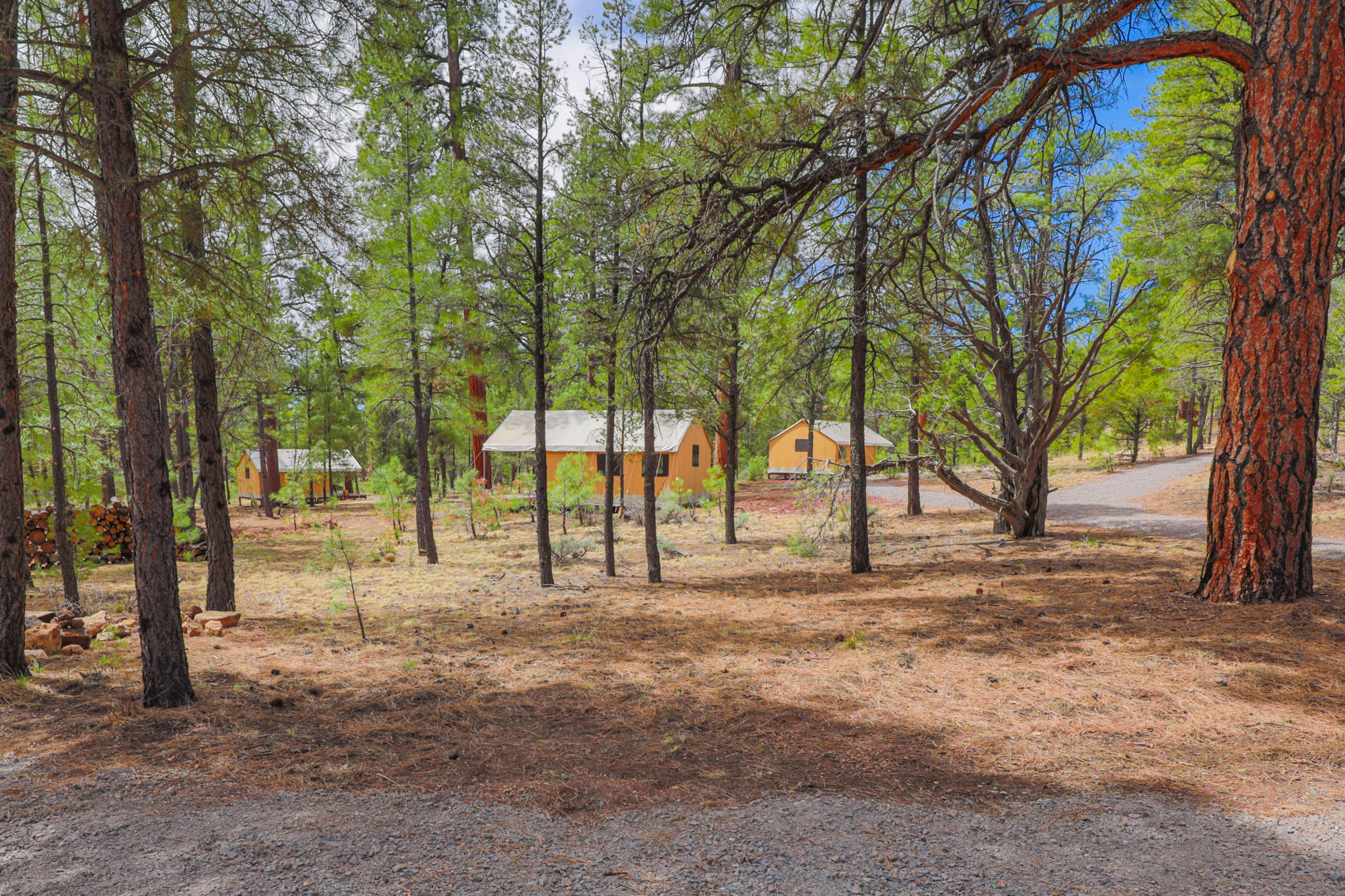 Fabienne S.'s photo at Highland Grand Canyon near Grand Canyon National Park