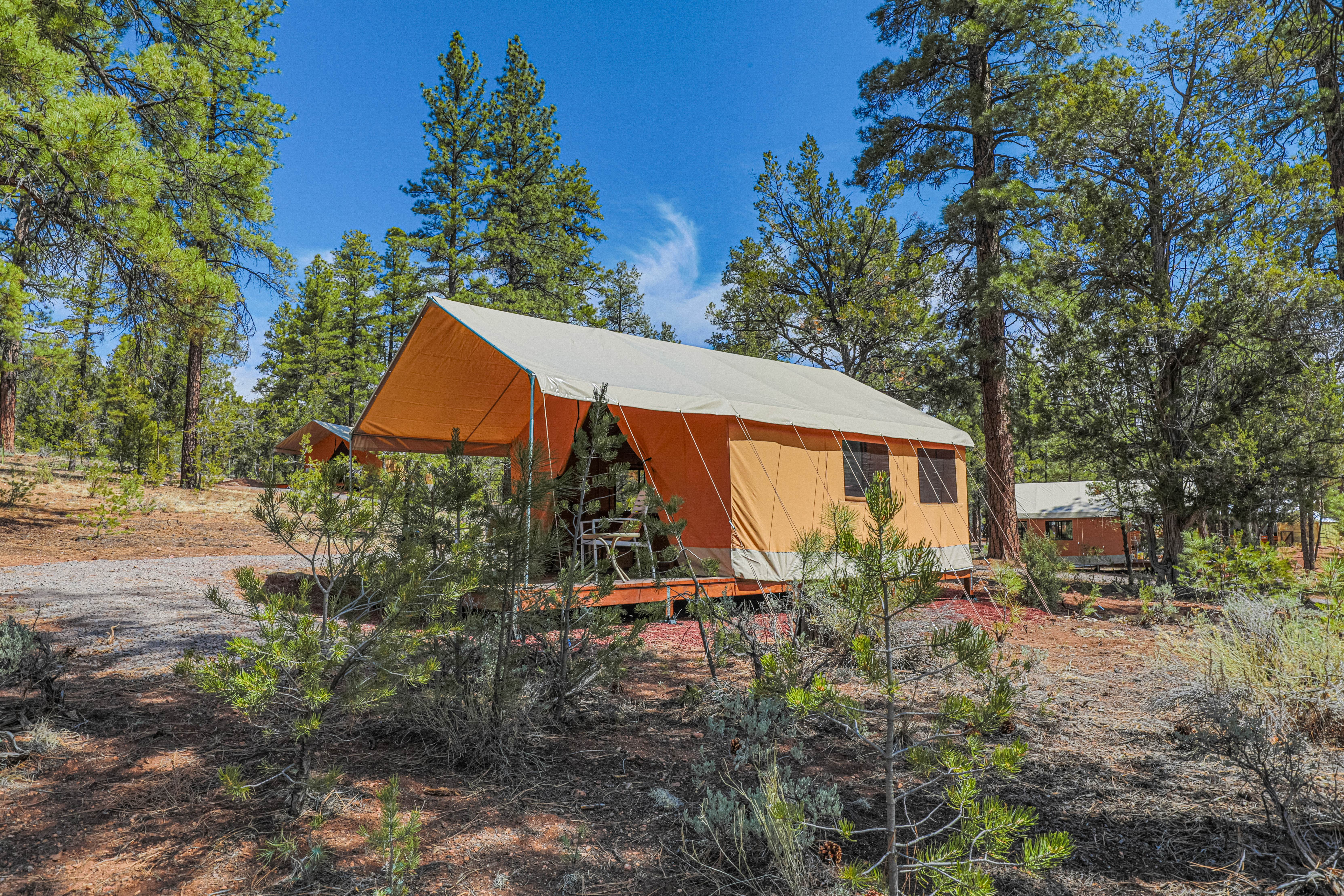 Fabienne S.'s photo at Highland Grand Canyon near Grand Canyon National Park