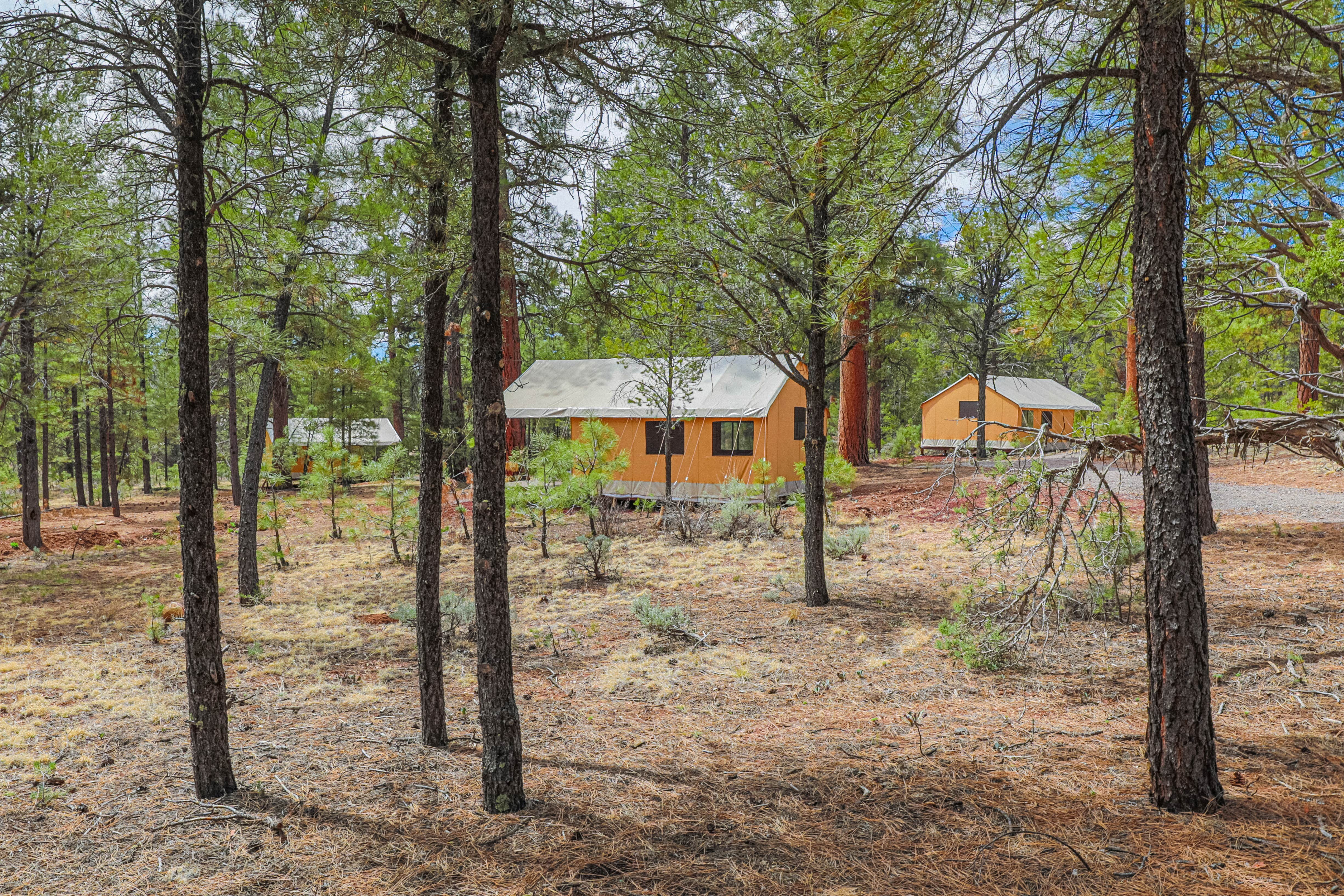 Camping near Granite Rapids Area Campsites — Grand Canyon National Park: Highland Grand Canyon, Grand Canyon, Arizona