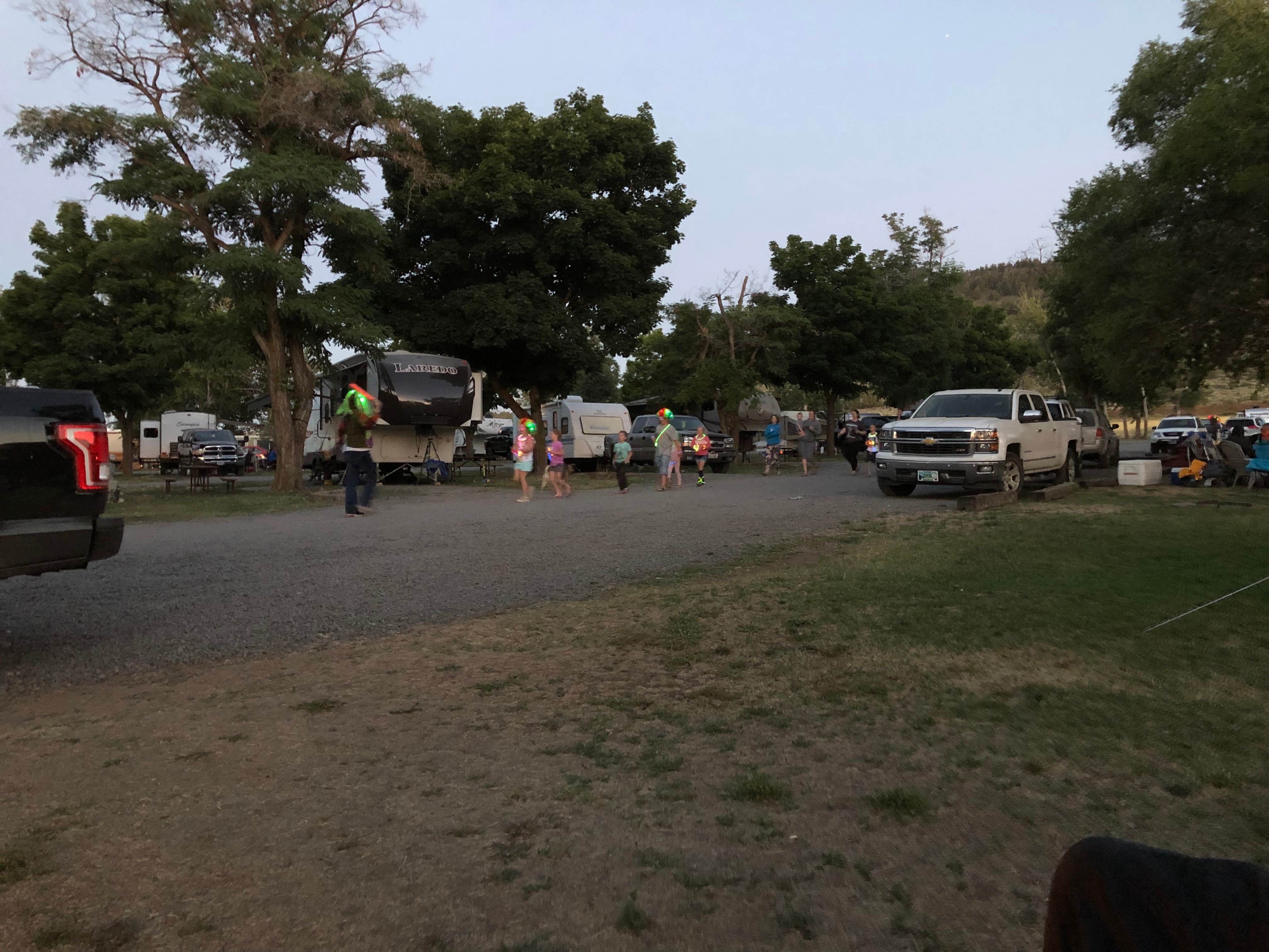 View All