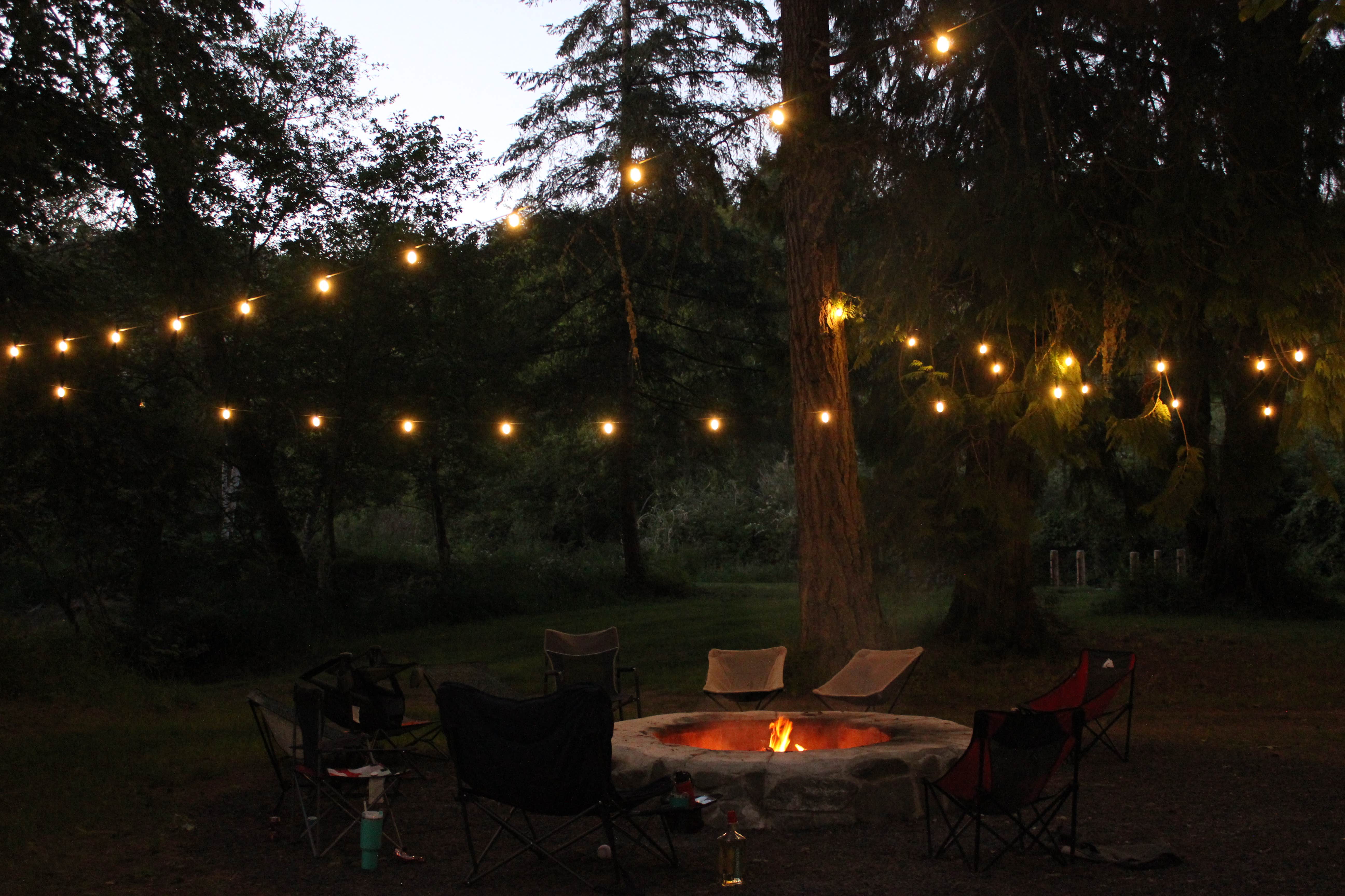 Camper submitted image from Wild Roots River Oasis - 1