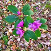 Review photo of Moccasin Creek State Park Campground by John W., September 21, 2016