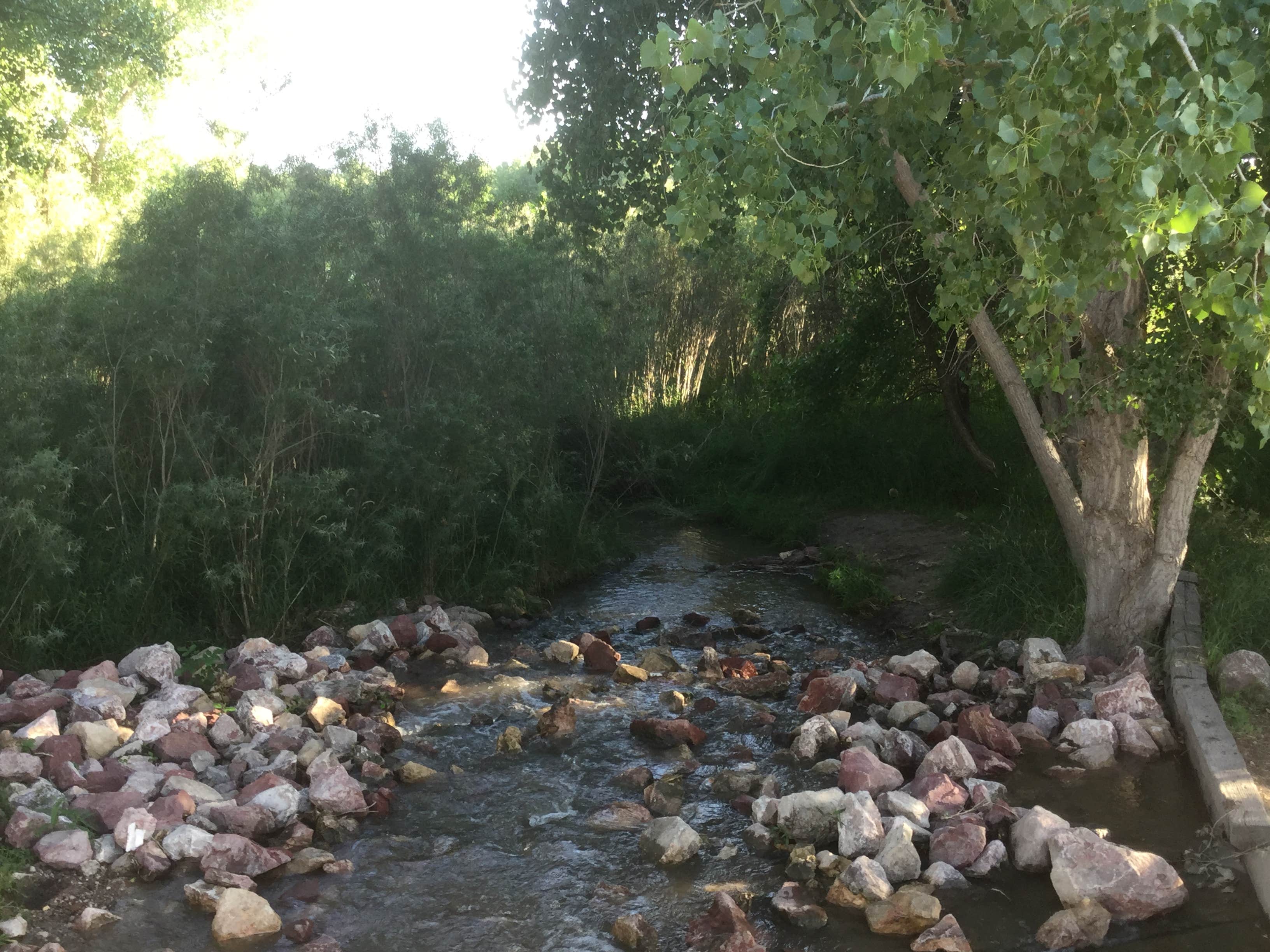 Camper-submitted photo at Pioneer Park near Fort Laramie, WY