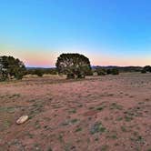 Review photo of Crozier Dispersed by Greg I., May 20, 2025