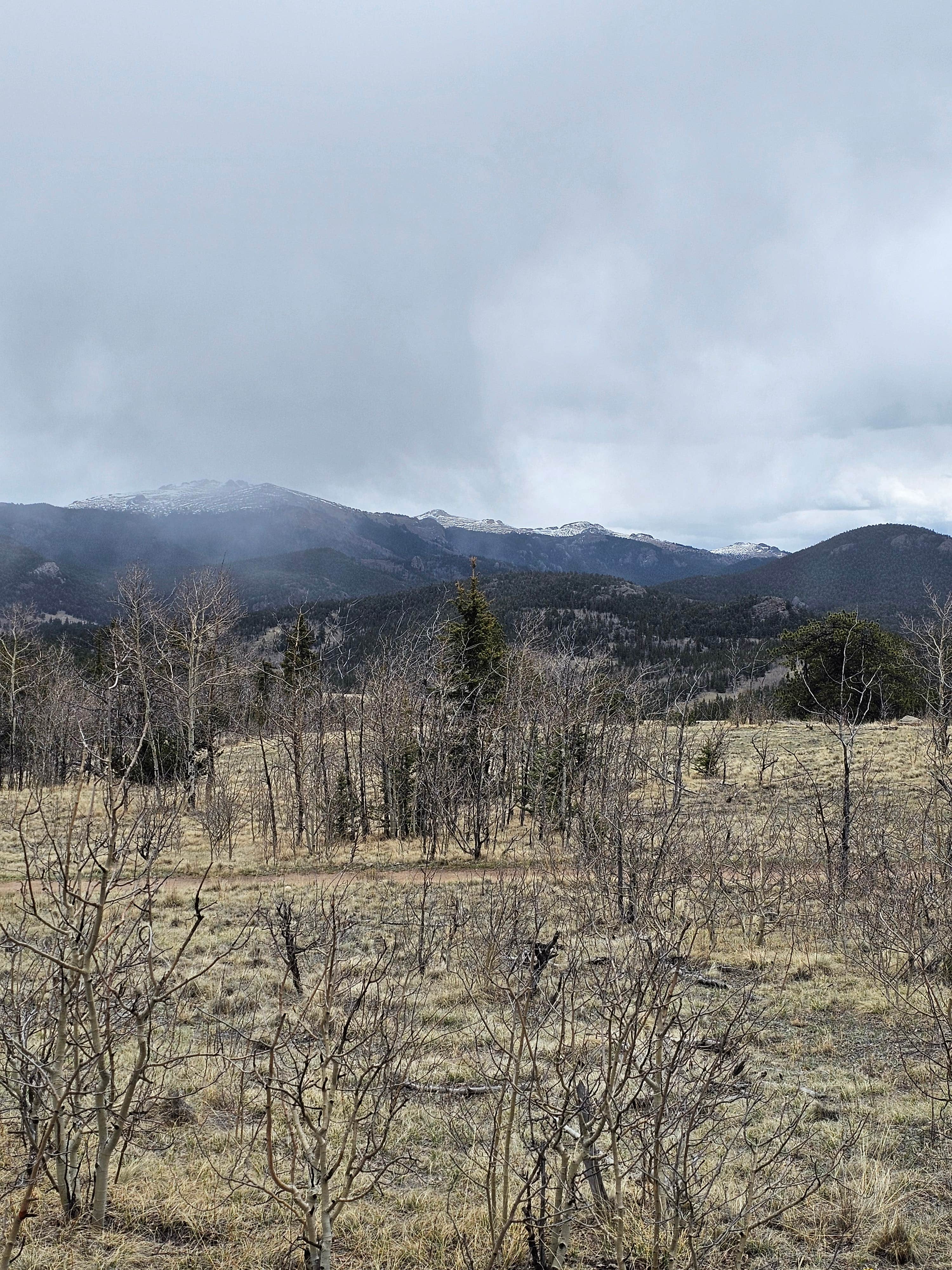 Camper submitted image from Rock Creek Hills Road - 2
