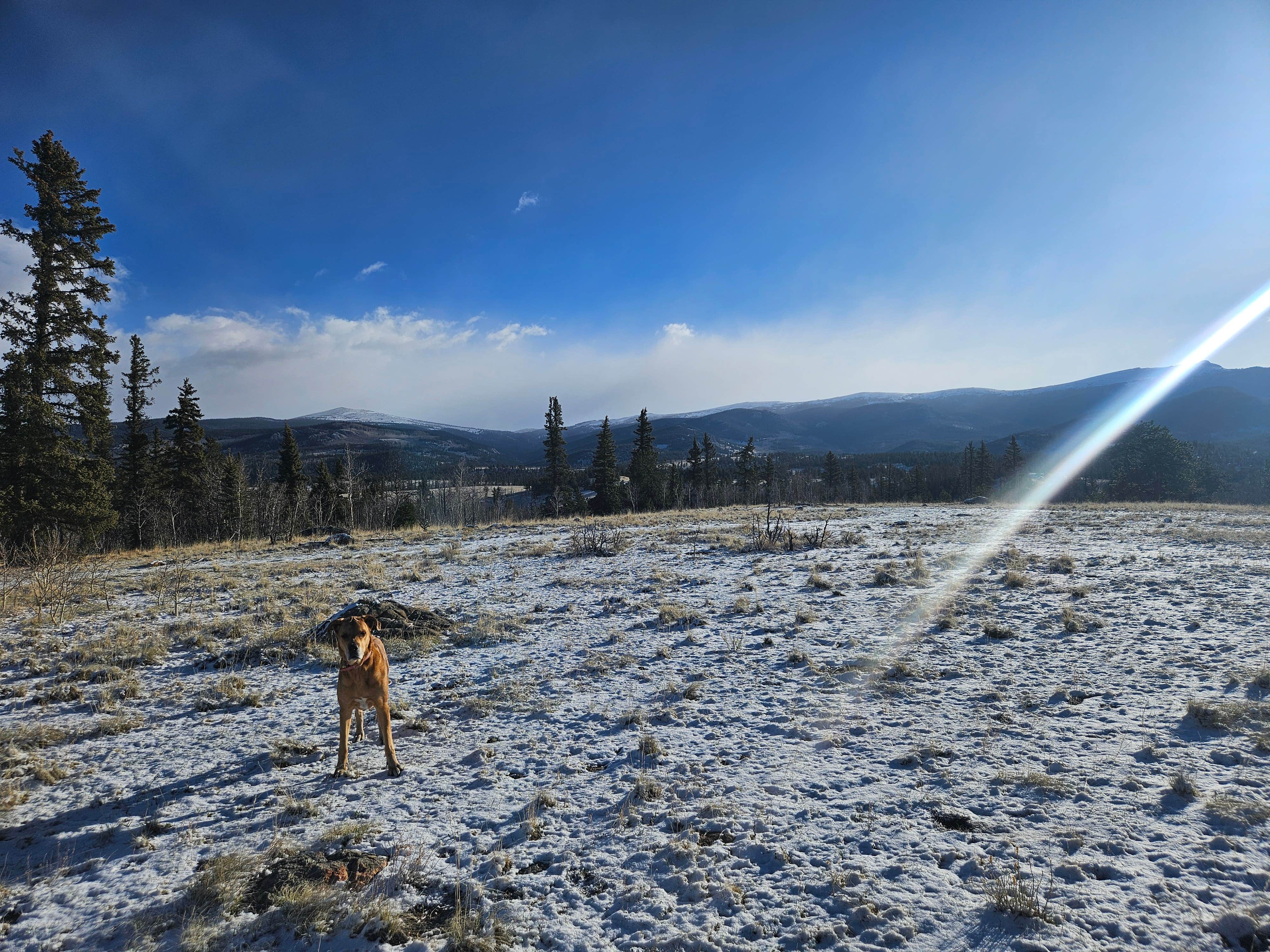 Colby R.'s photo of a dispersed camping area at Rock Creek Hills Road near Conifer, CO