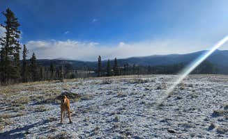 Colby R.'s photo of a dispersed camping area at Rock Creek Hills Road near Buffalo Creek, CO