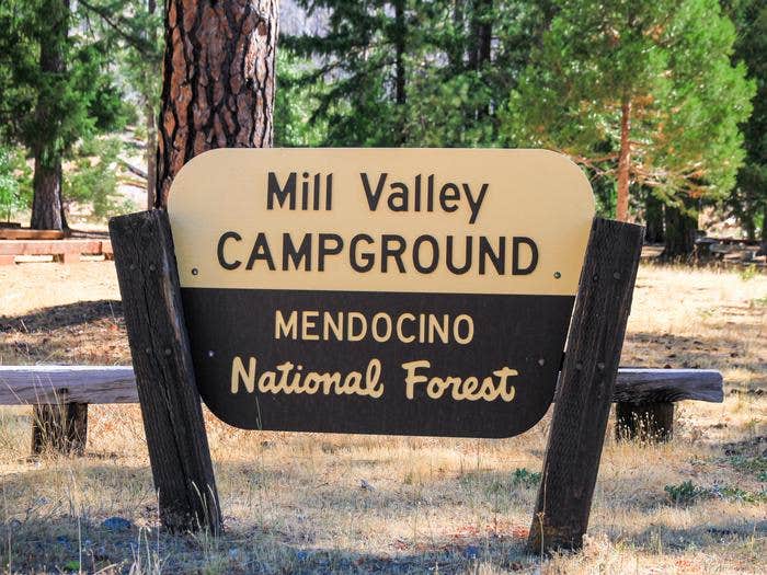 Camper submitted image from Mill Valley Campground — Mendocino National Forest - 2
