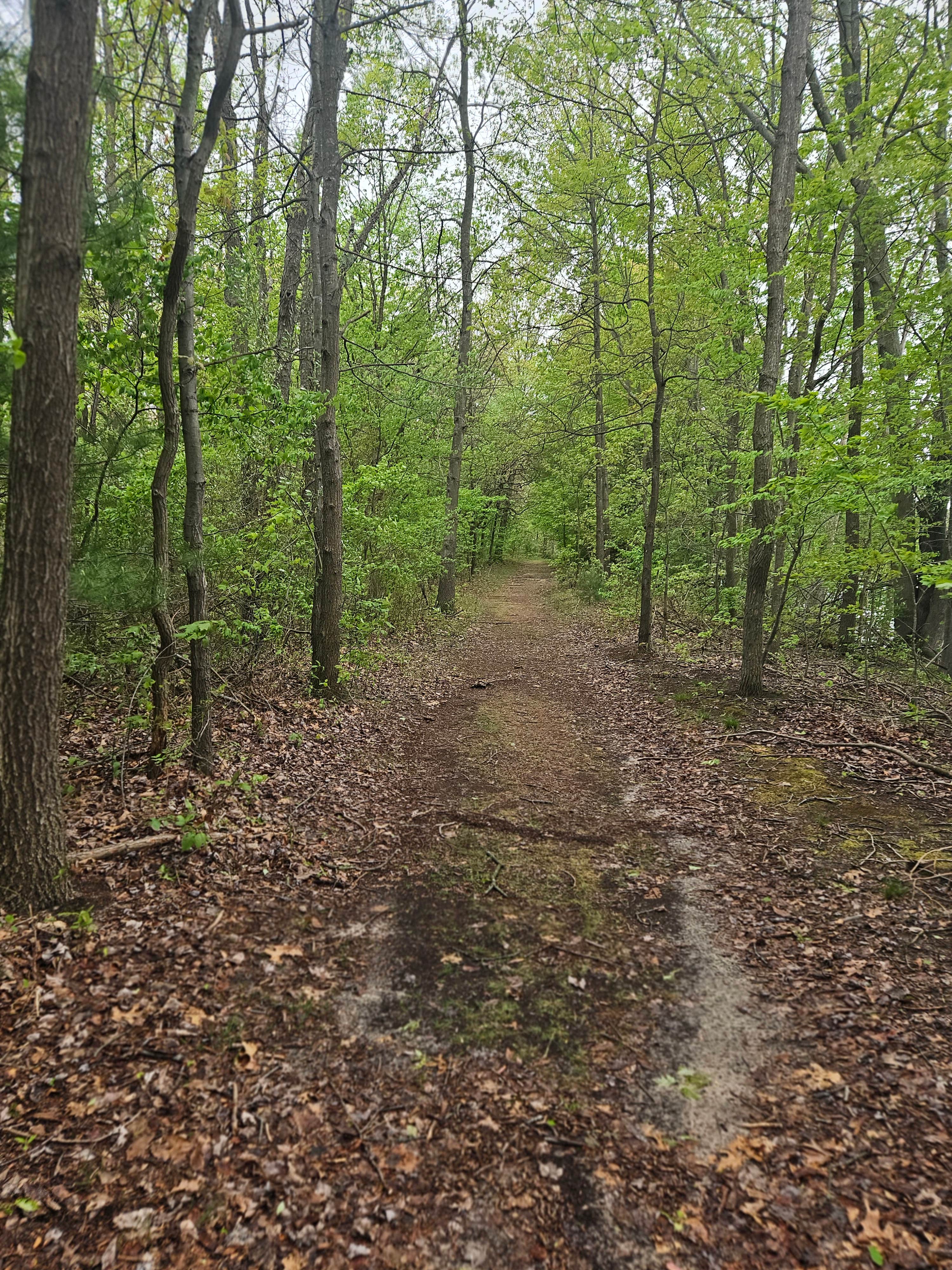 Camper submitted image from Muskegon KOA - 2