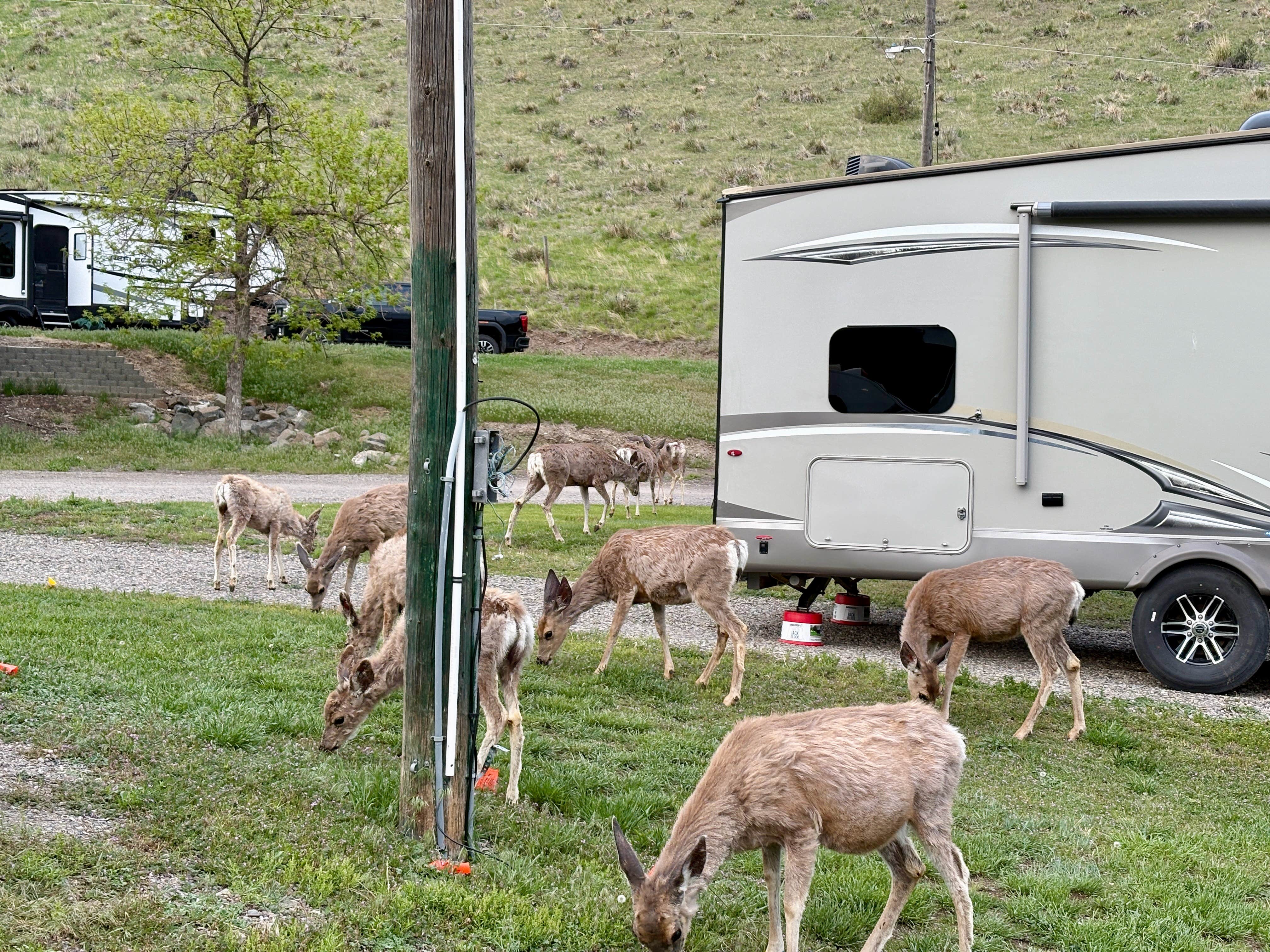 Camper submitted image from Prewett Creek RV Park - 5