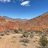 Review photo of Red Rock Canyon National Conservation Area - Red Rock Campground by Twindaddy , May 20, 2025