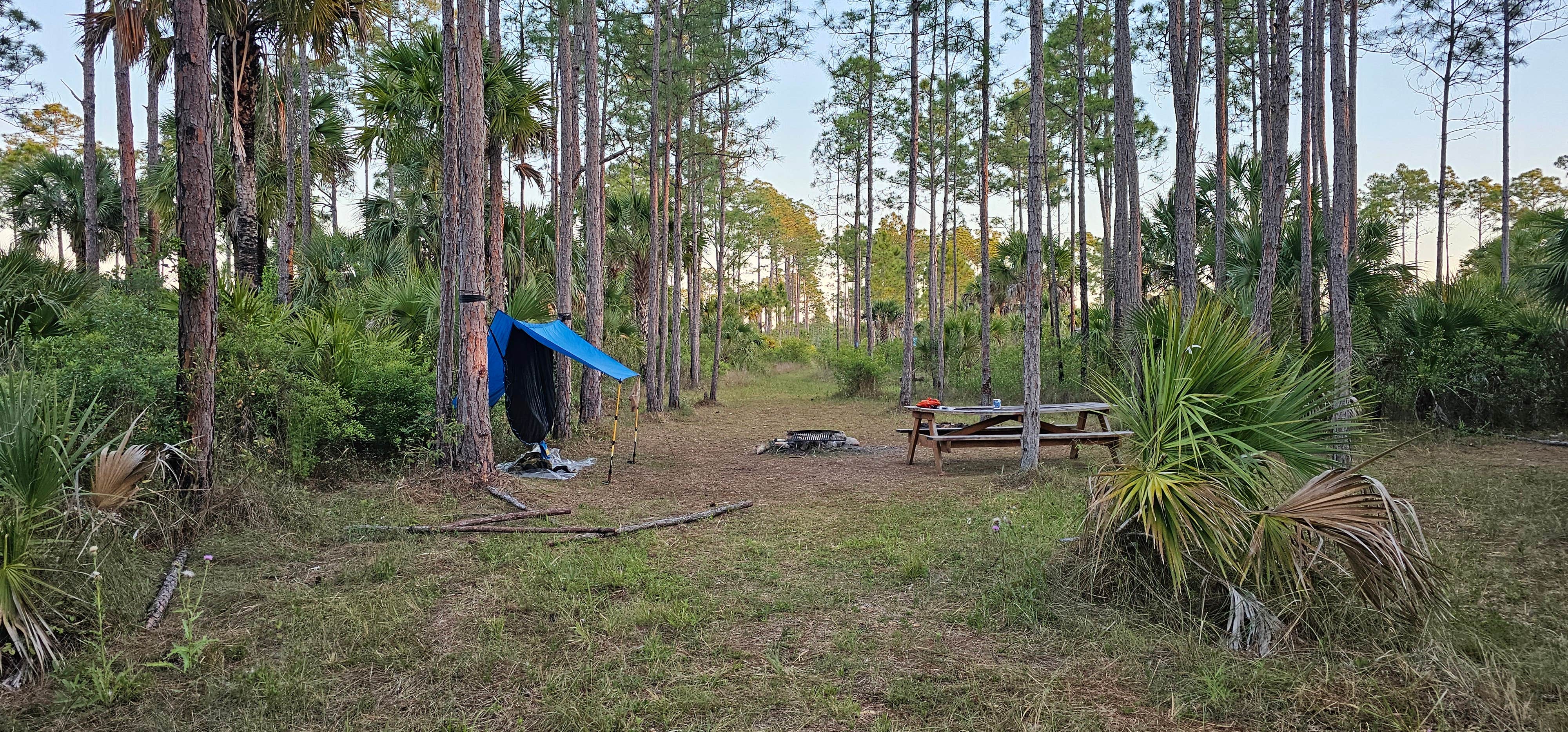 J R.'s photo of a dispersed camping area at Panther Camp — Big Cypress National Preserve near Ochopee, FL