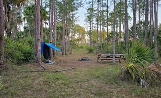 J R.'s photo of a dispersed camping area at Panther Camp — Big Cypress National Preserve near Naples, FL