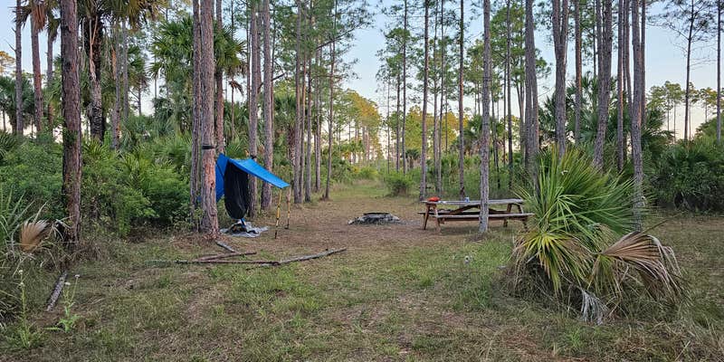 Camper submitted image from Panther Camp — Big Cypress National Preserve