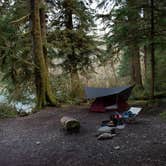 Review photo of Hoh Oxbow Campground by Taylor B., May 20, 2025