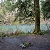 Review photo of Hoh Oxbow Campground by Taylor B., May 20, 2025
