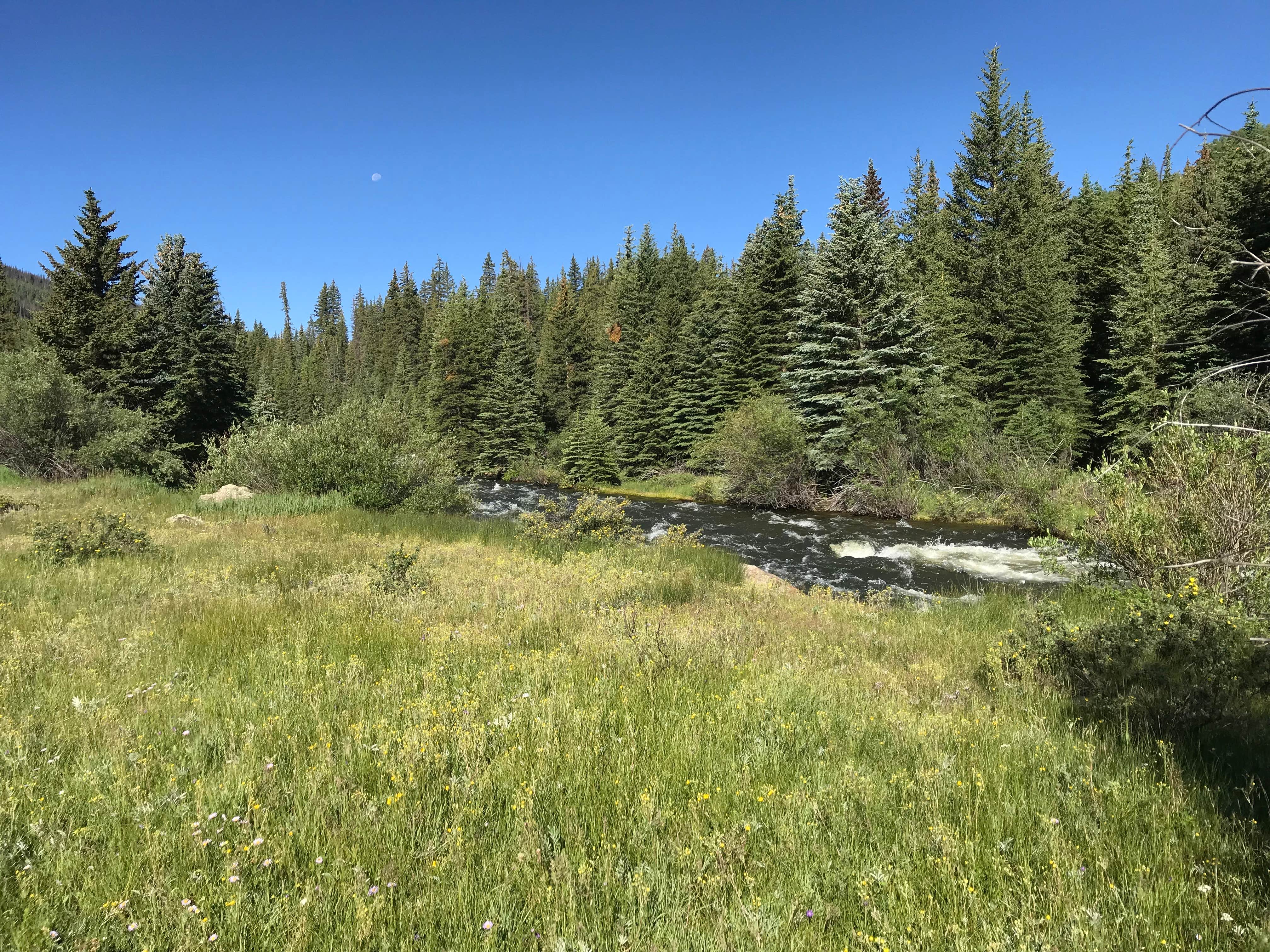 Camping near Ute Creek Trailhead #819: Thirtymile Campground, City of Creede, Colorado