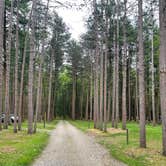 Review photo of Cook Forest State Park Campground by Robert M., May 21, 2025