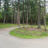 Review photo of Cook Forest State Park Campground by Robert M., May 21, 2025