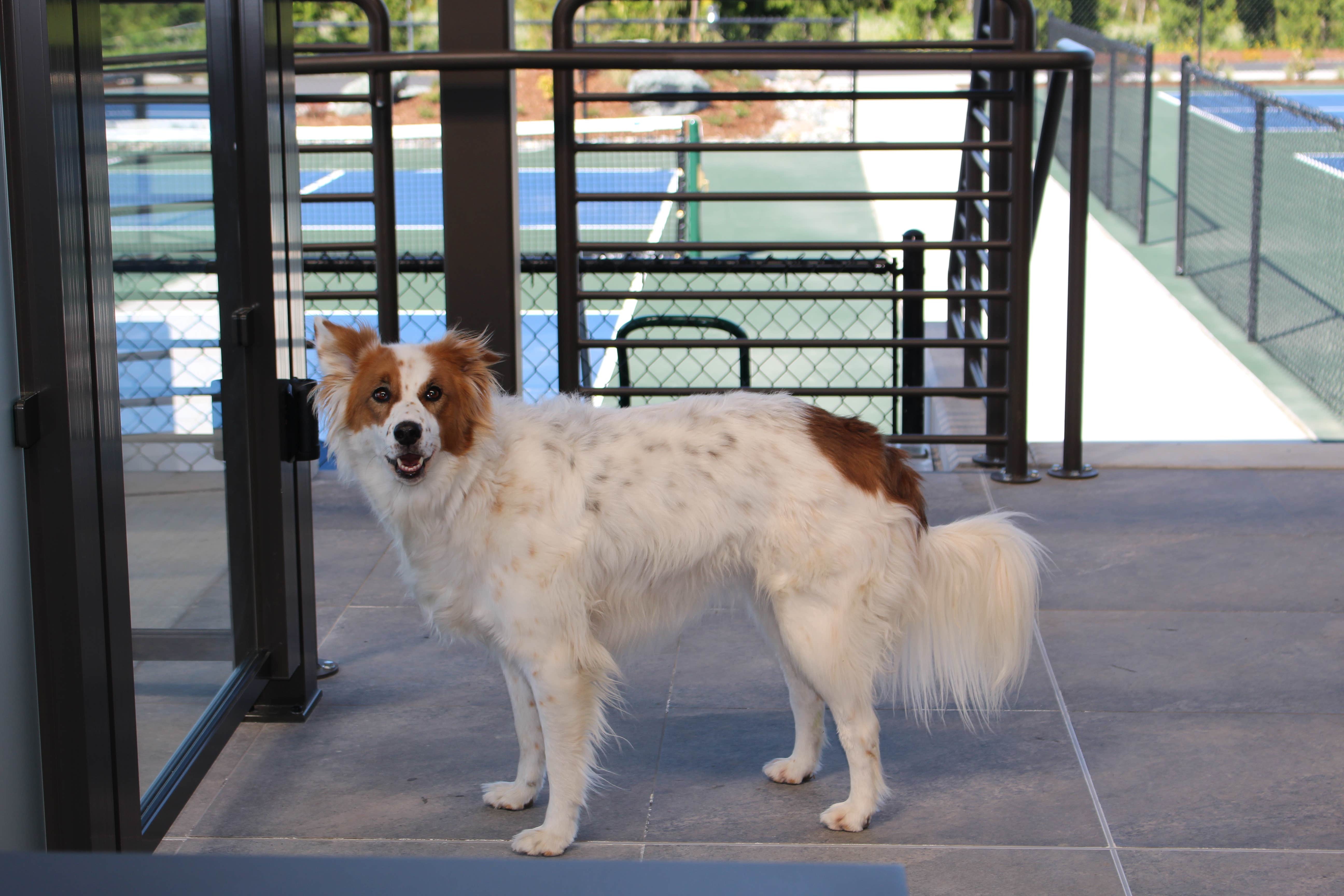 Camper-submitted photo at Town and Country Motorcoach and RV Resort near Acme, WA