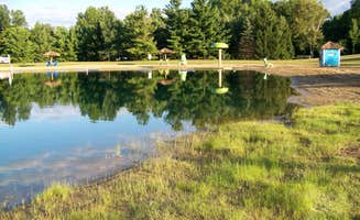 Darlene O.'s photo of camping with pets at American Wilderness Campground near Vermilion, OH