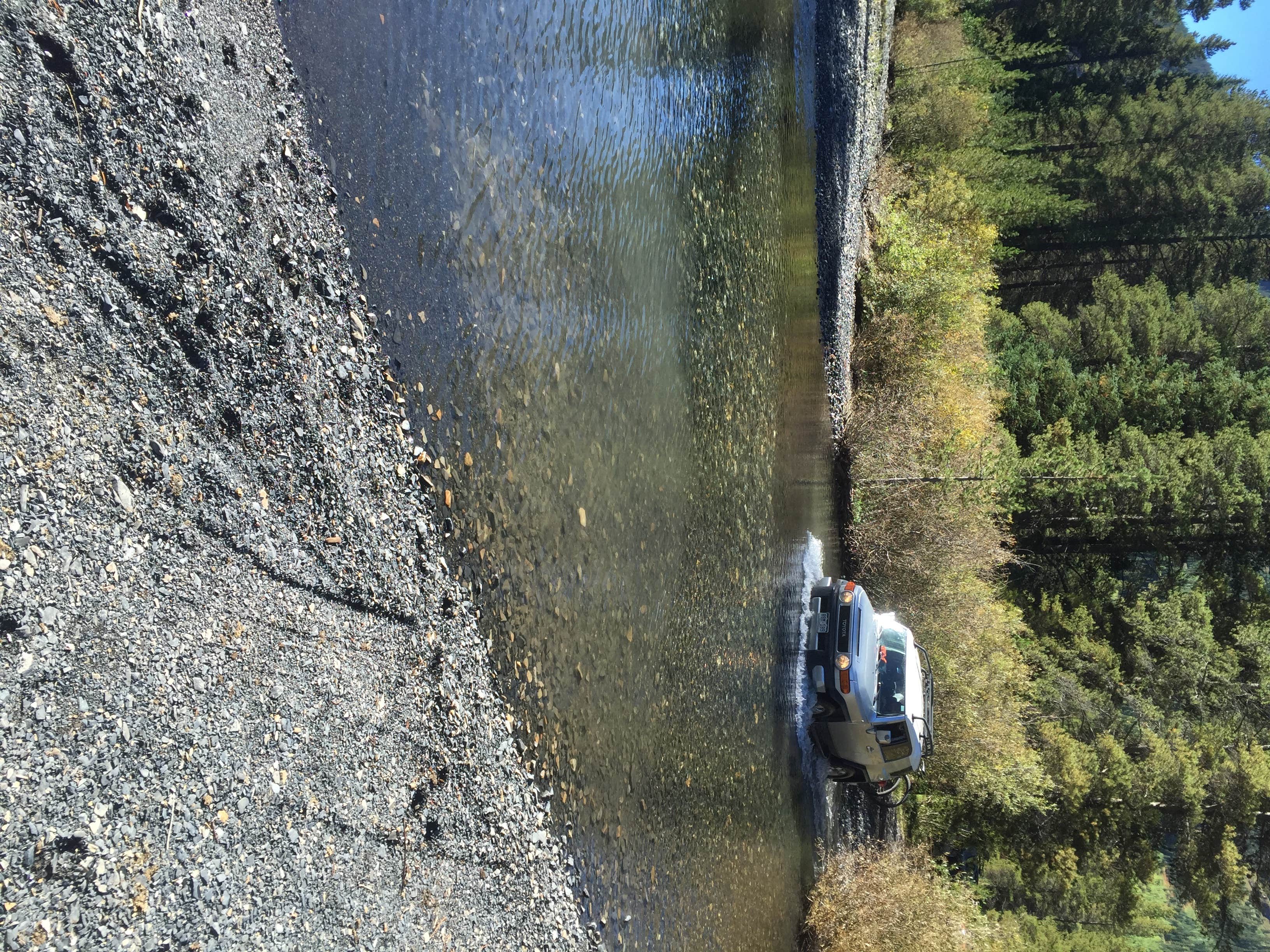 Camper submitted image from Oh Be Joyful Recreation Area - 3
