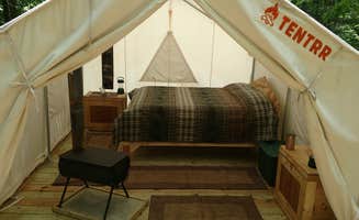 The Dyrt's photo at R Shady Creek Camp near Scranton, PA