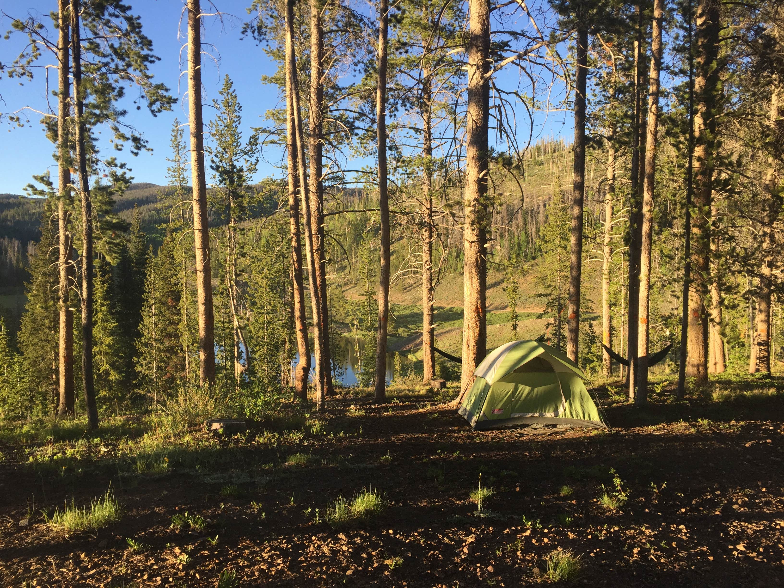 Camper submitted image from Lynx Pass Campground - 3