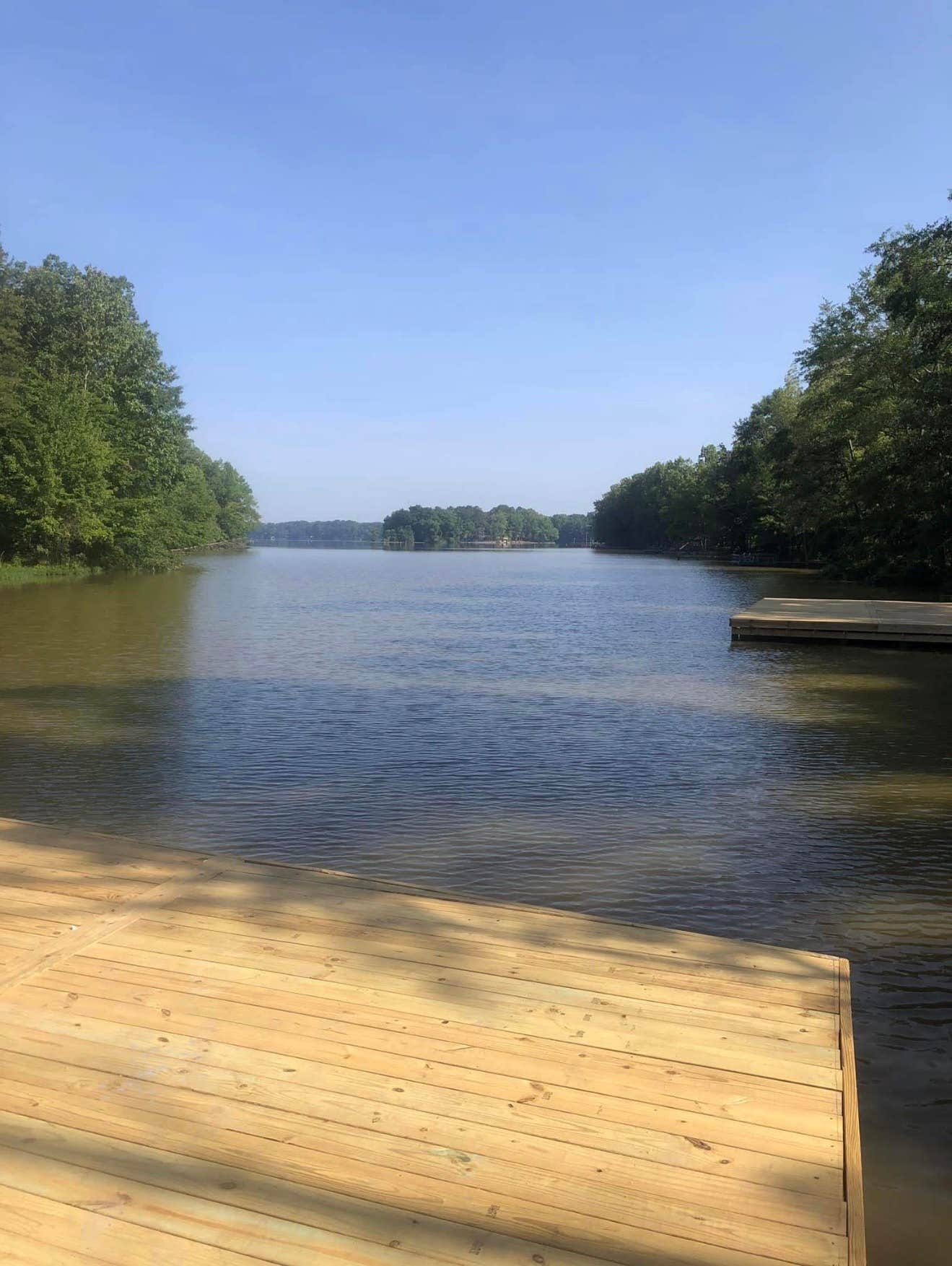Camper submitted image from Salt Lick Cove - 1
