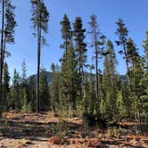 Review photo of Paulina Lake Campground by Corinna B., July 23, 2019