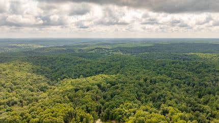 Camper-submitted photo at Sinking Creek Ranch near Bunker, MO