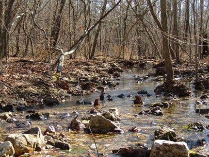 Camper-submitted photo at Sinking Creek Ranch near Bunker, MO