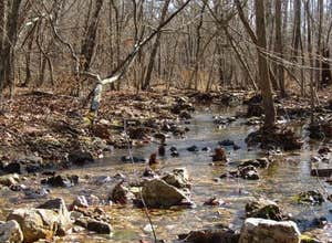 Sinking Creek Ranch