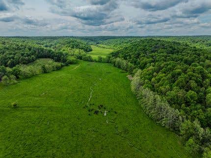 Camper-submitted photo at Sinking Creek Ranch near Bunker, MO