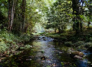 Sinking Creek Ranch
