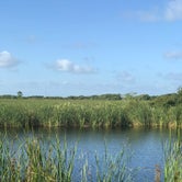 Review photo of Gulf State Park Campground by Nancy B., July 25, 2019