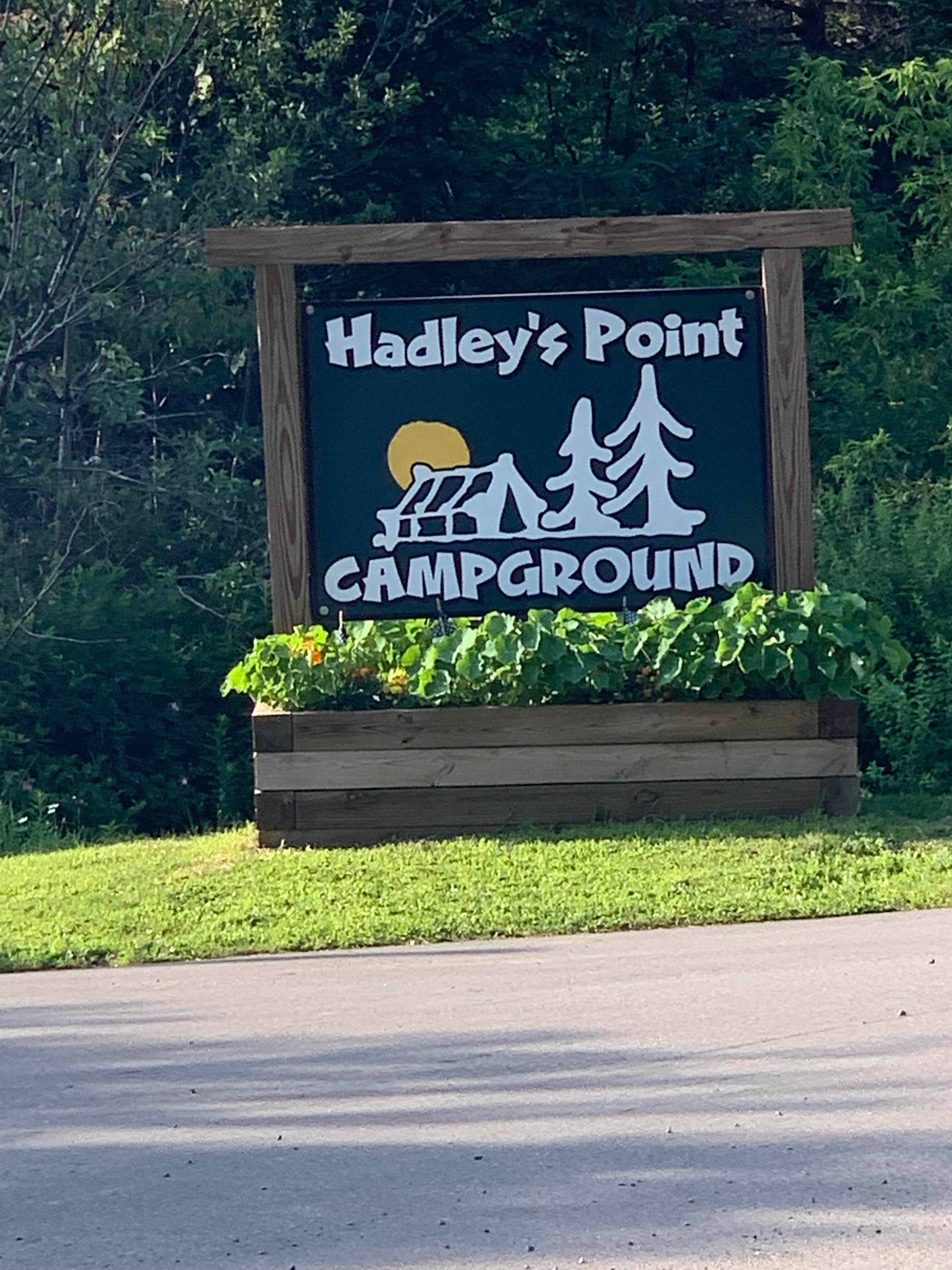 Camper submitted image from Hadley's Point Campground - 3