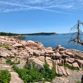 Review photo of Hadley's Point Campground by Steve V., July 25, 2019