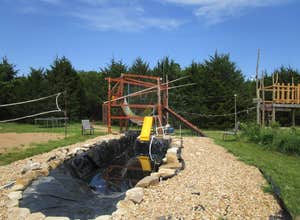 B Berry Farms & Co.