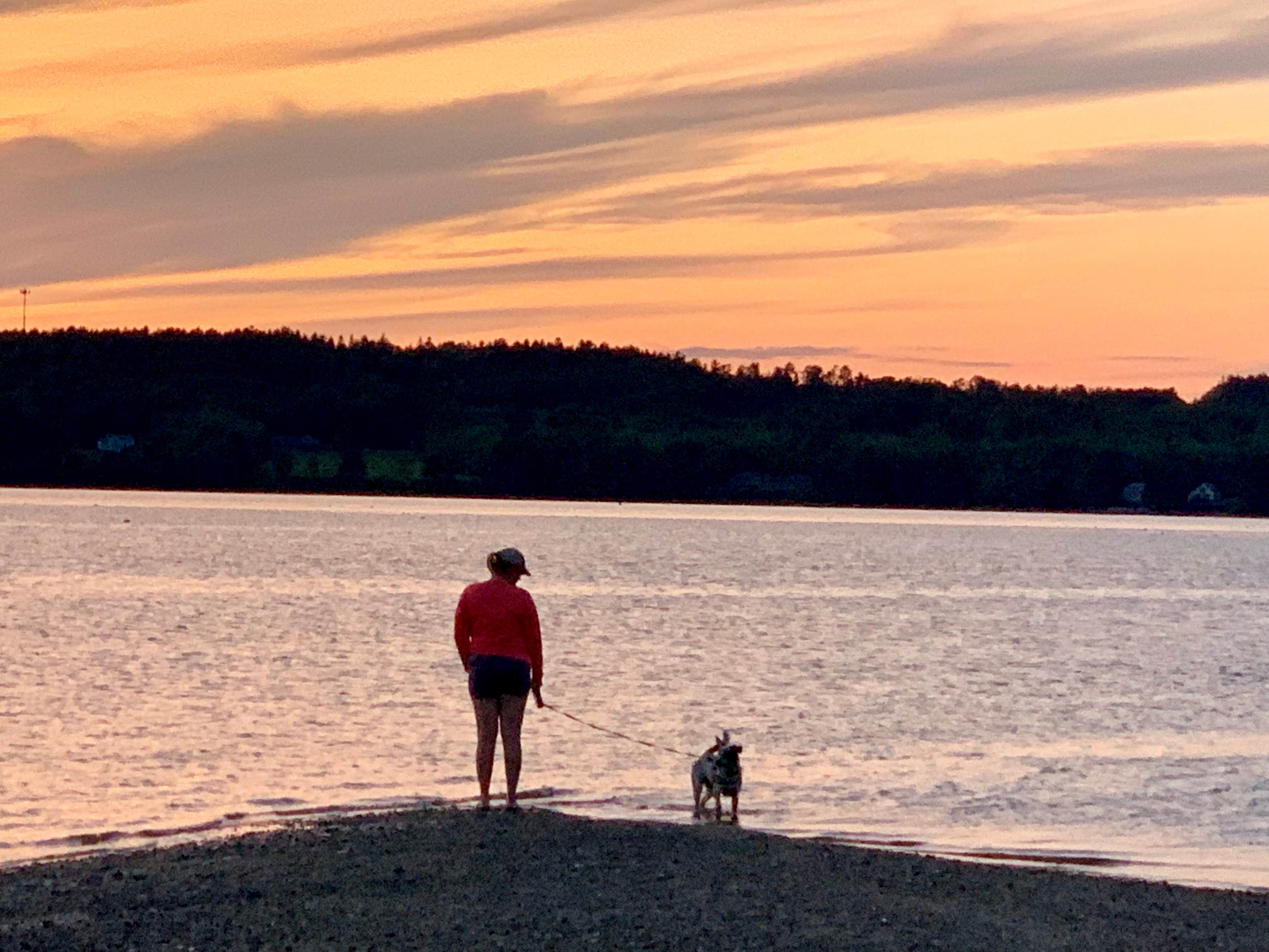 Camper-submitted photo at Hadley's Point Campground near Acadia National Park