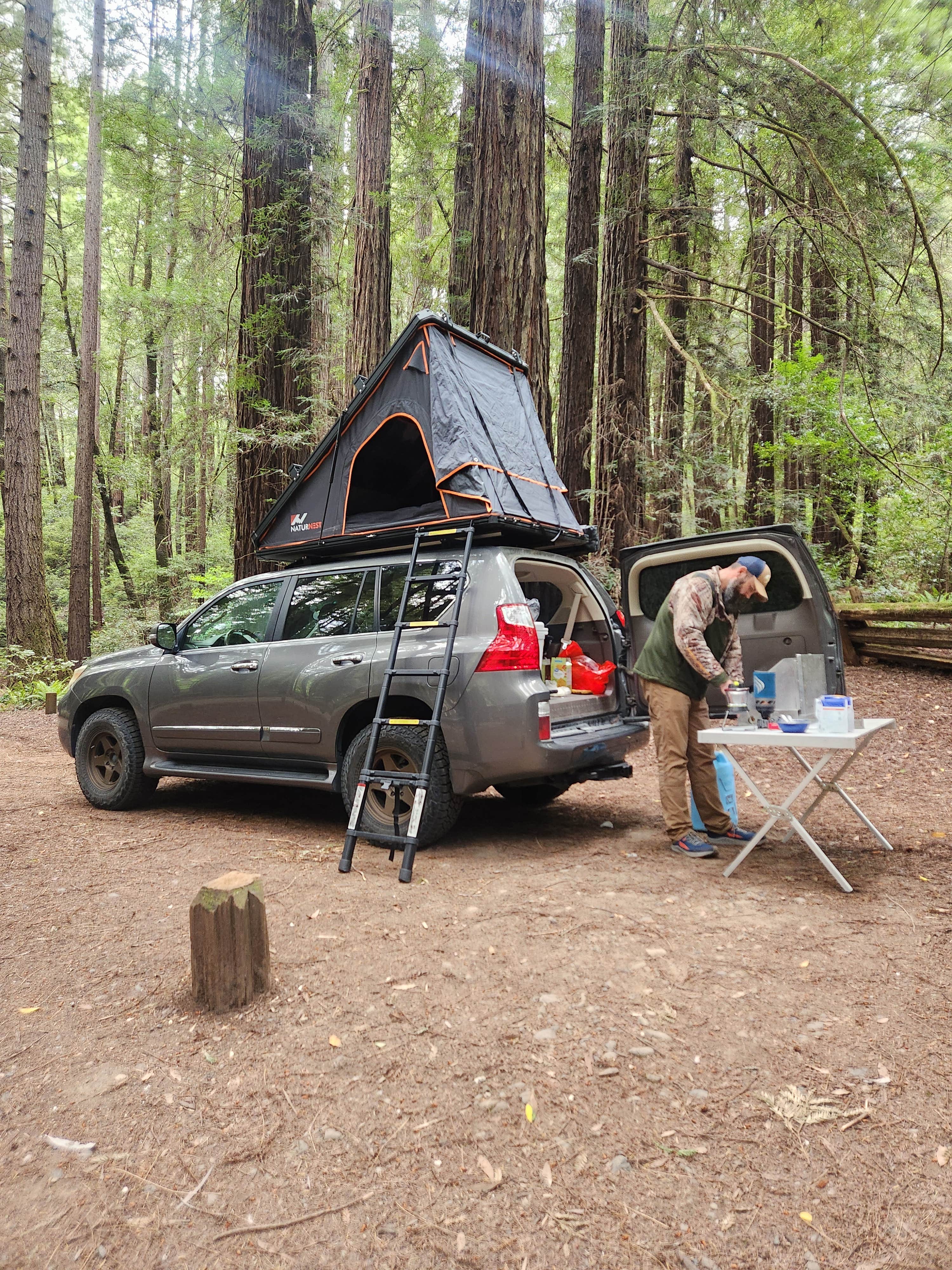 Taryn S.'s photo at Burlington Campground — Humboldt Redwoods State Park near Weott, CA