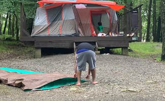 Zorina N.'s photo at New York City North/Newburgh KOA near Roslyn Heights, NY