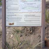 Review photo of Pinon Flats Campground — Great Sand Dunes National Park by Judy B., May 24, 2025