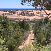 Review photo of Meadows - Coral Pink Sand Dunes Dispersed by Sheri C., May 24, 2025