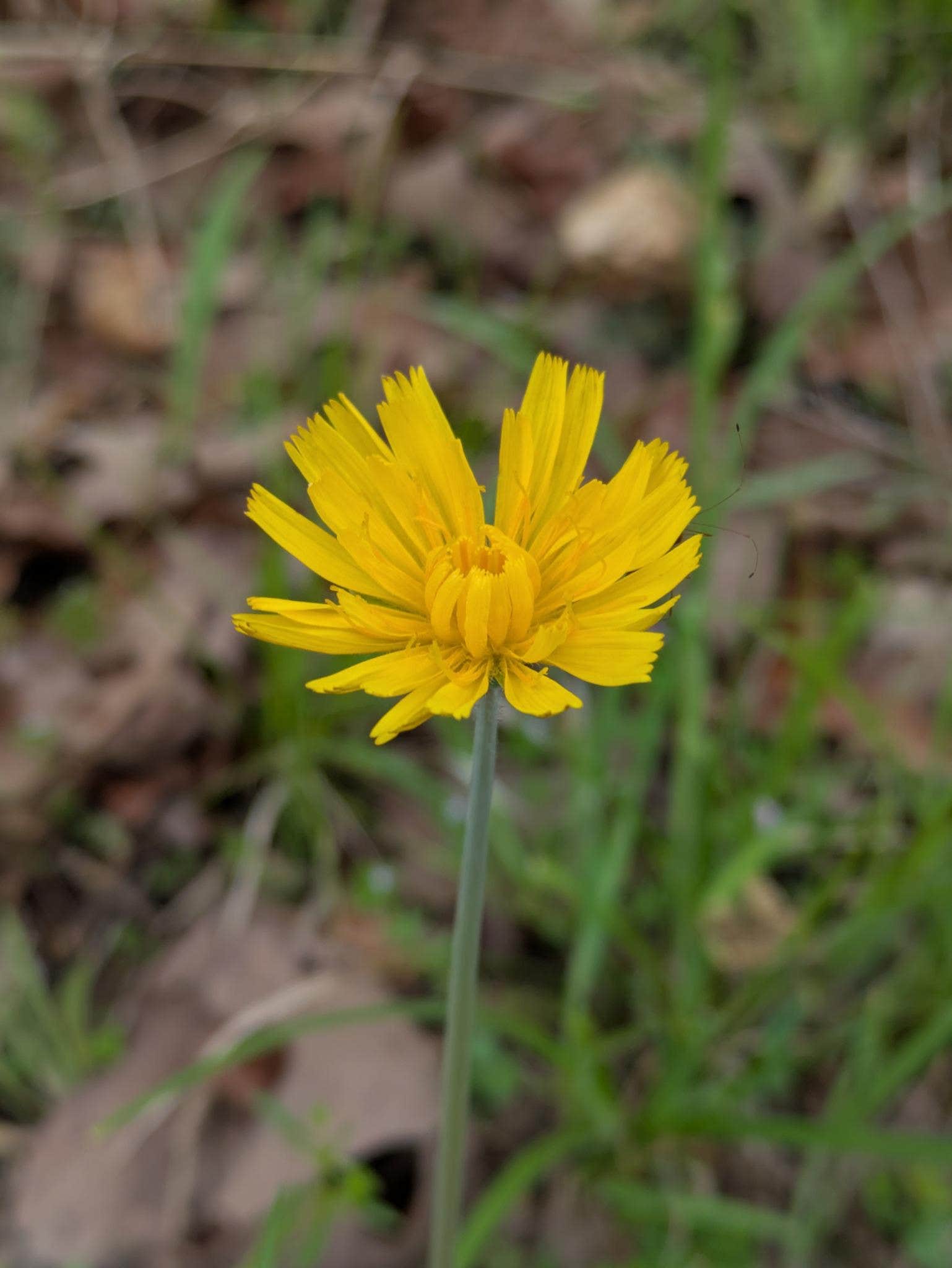 Camper-submitted photo at Cary Lane RV Park near Proctor, OK