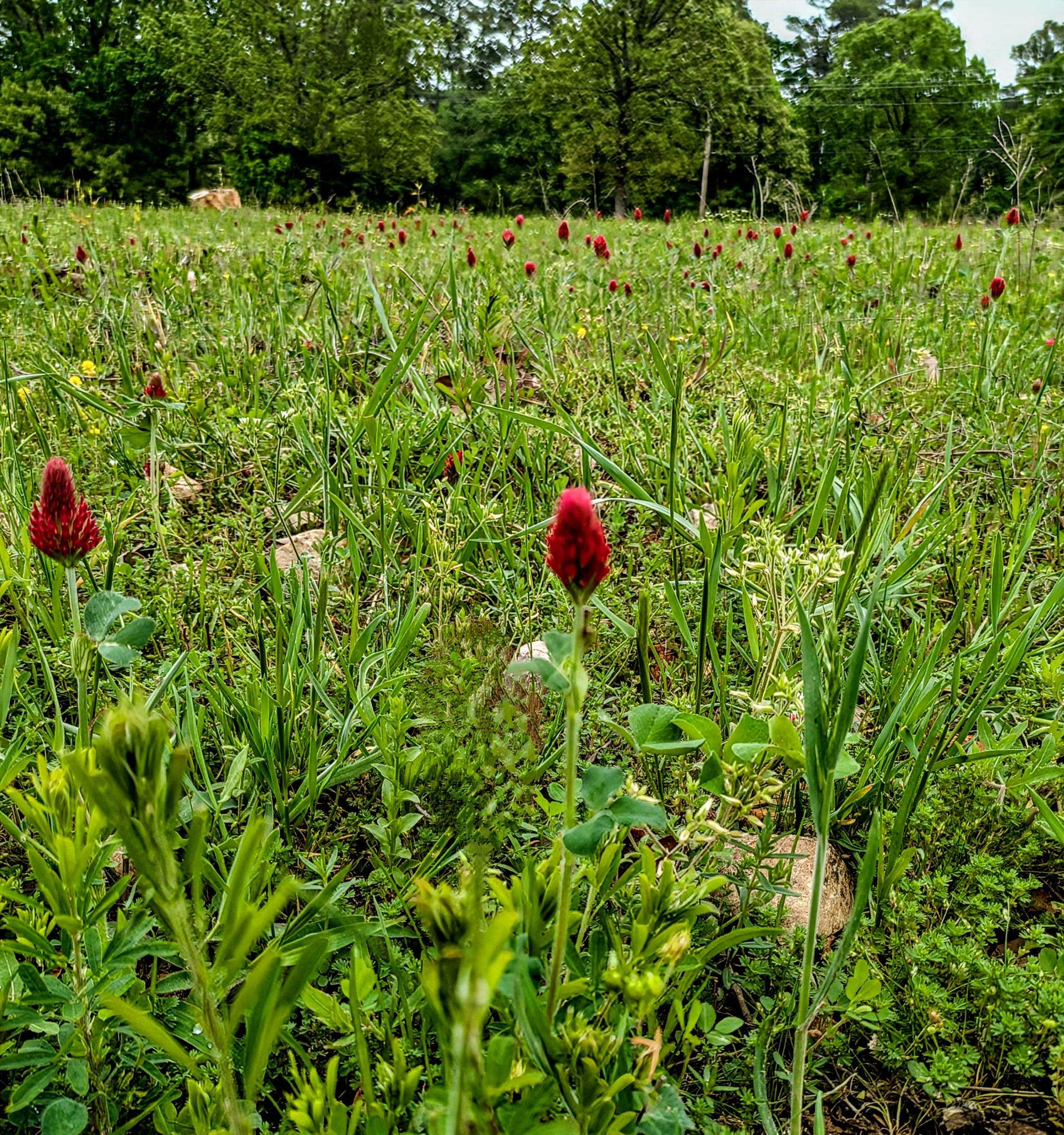 Camping near Sparrow Hawk Camp: Cary Lane RV Park, Park Hill, Oklahoma